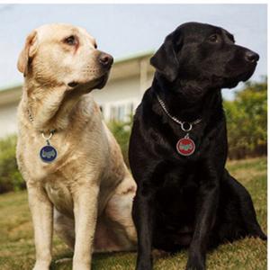 2018 Hot Sale Dog eller Cat ID Taggar Graverade eller QR Kod Pet Tag