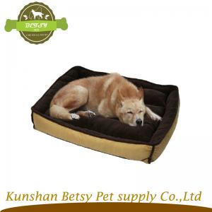 röd besjälar hund.