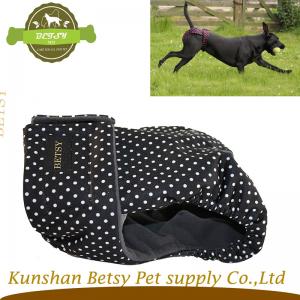 Högkvalitativa kvinnliga hundsäsongbyxor