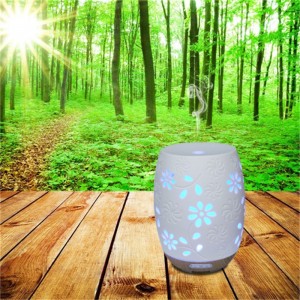 Mycket förfrågan populär unik keramisk aromolja diffusor luftfuktare