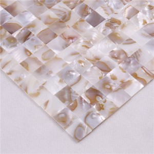 Wall Art Natural Shell Mosaic för Villa bakgrund