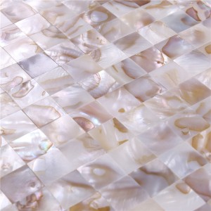 Wall Art Natural Shell Mosaic för Villa bakgrund