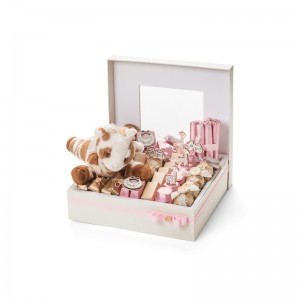 Varm försäljning macaron förpackningslåda med lock macaron box design