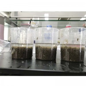 Kationiskt polyakrylamidpris för urban avloppsbehandling