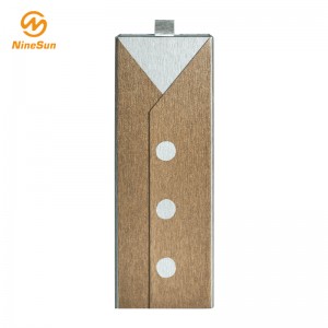 Guld- och silverpenna