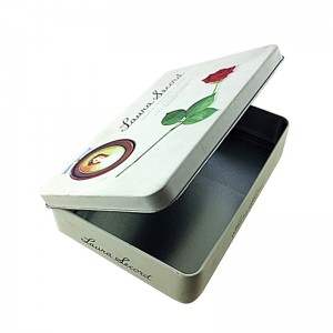 Anpassad rektangulär kosmetisk tennbox för ansiktsmaskförpackning med gångjärnslock