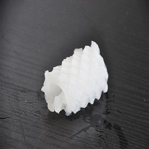 Fryst bläckfiskblomma