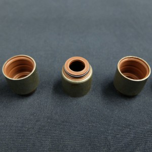 Kina leverantör Valve stamoljetätning för Renault-bilar