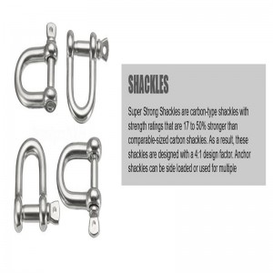 Rostfritt stål skruvstift D fäste med sexkantsstift