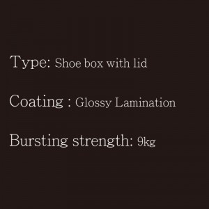 Skobox med lock typ1