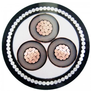 Armaturkabel med medel spänning med kärnor med STA / SWA