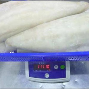 Djupfrysta, lätta saltade Atlantic Saith-filéer