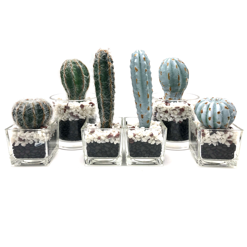 Konstgjord kaktus i dekorativ glaskruka Suckulent dekoration för hem eller kontor