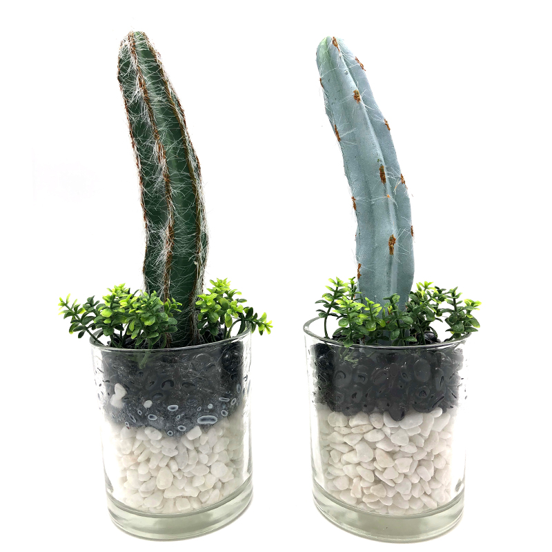 Konstgjord kaktus i dekorativ glaskruka Suckulent dekoration för hem eller kontor