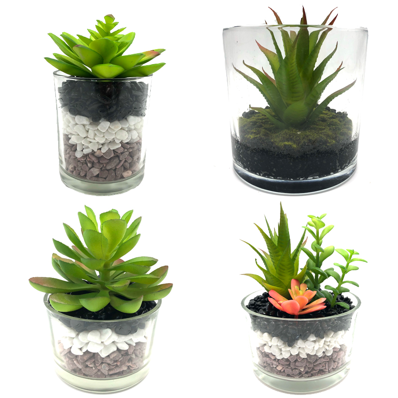 Konstgjorda suckulenta växter med en dekorativ vasskärmglas av glasbord