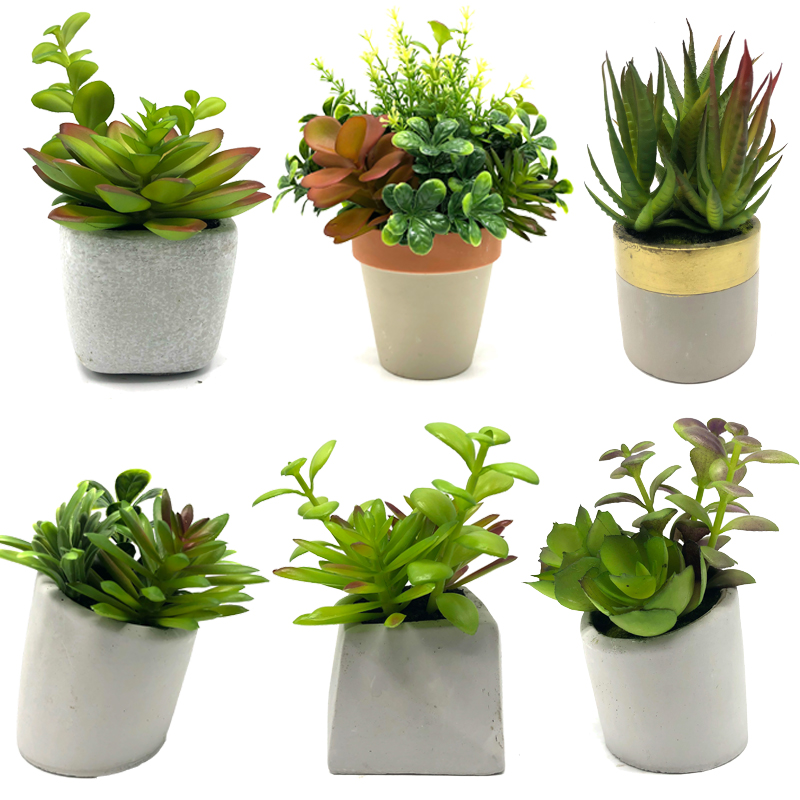 Mini konstgjorda suckulenta växter med dekorativ jordklot för bordsskiva för hemskärm