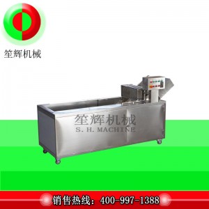 Lyxig tvättmaskin för ozondesinfektion (vändbart transportband)