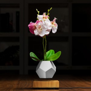 magnetisk levitation flytande växt kotte luft bonsai PA-0708