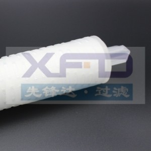 Plisserad filterpatron --- RFG