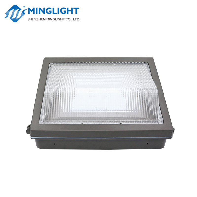 LED Wall Pack Light WPB 80W