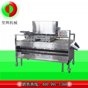 Fruktrengöringsmedel / Fruktrengöringsmedel / Fruktborste Cleaner (Deep Cleaning) QM-2