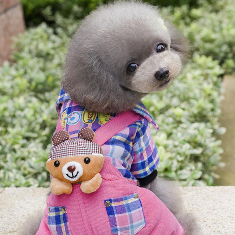 Hur mycket mat behöver en hund att äta varje dag?