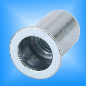 Platt huvud rund kropp