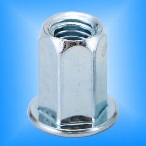 Platt huvud full-hex kropp