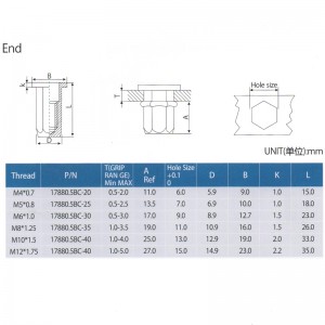Flat Head Full-Hex Body Close End