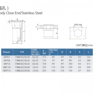 Minska Hex-huvudet Inre-Hex-kroppen Stäng slutet