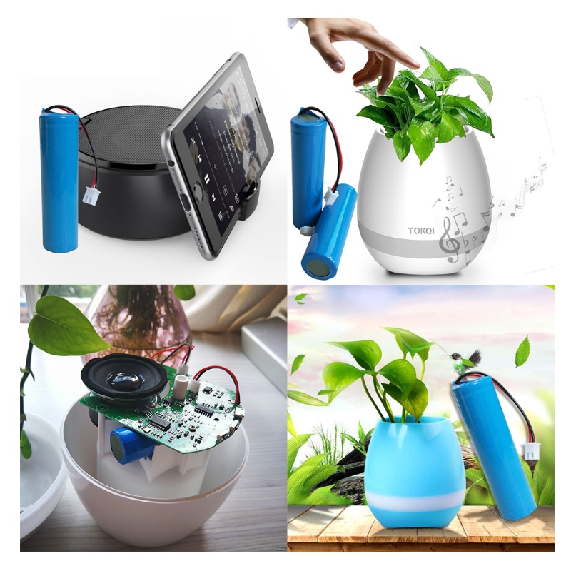 Litiumbatteriets spänningskunskap