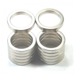 Anpassa monopolringmagneten.