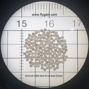 Rare Earth Strong Small SmCo Mini Magnet