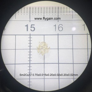 Anpassad utmärkt sällsynt jord permanent mikro smco magnet