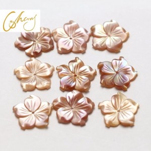 Pärlemor skalsmyckematerial