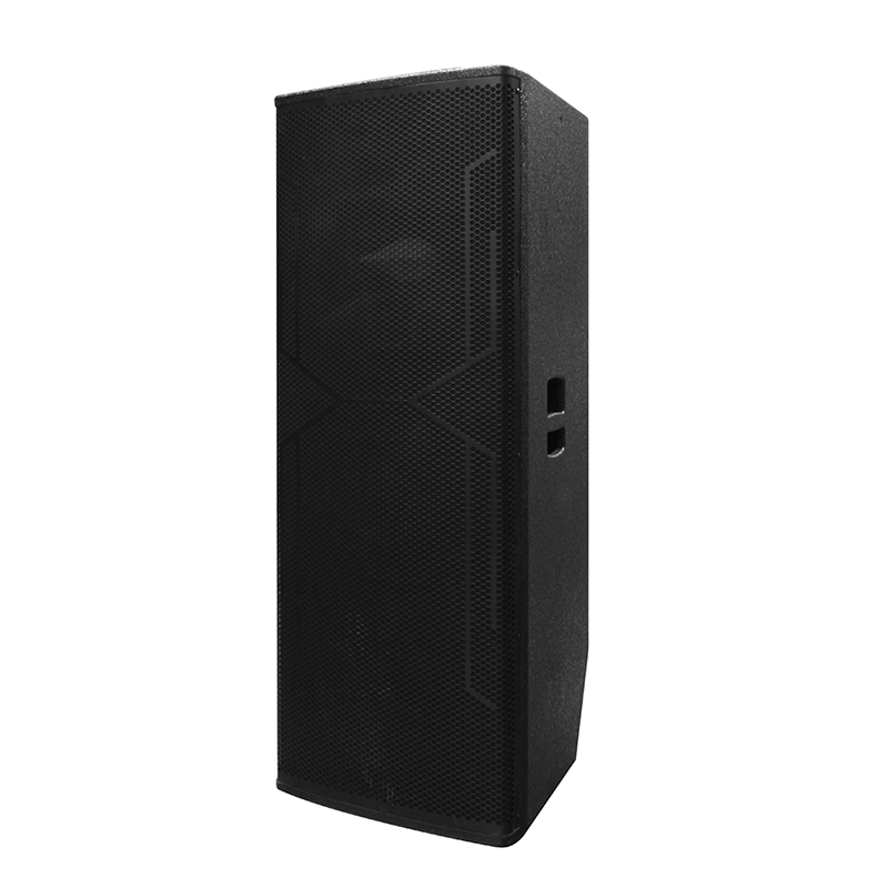 Stor DJ-högtalare Y-450DH