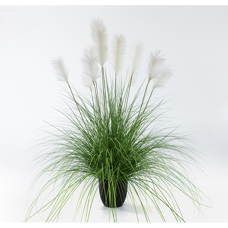 OH109200017/ OH109200018