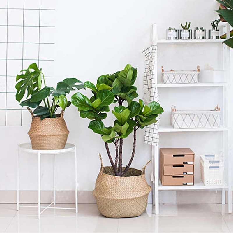 Vävd Seagrass Belly Basket för förvaring av blomkrukstrumpbyxor