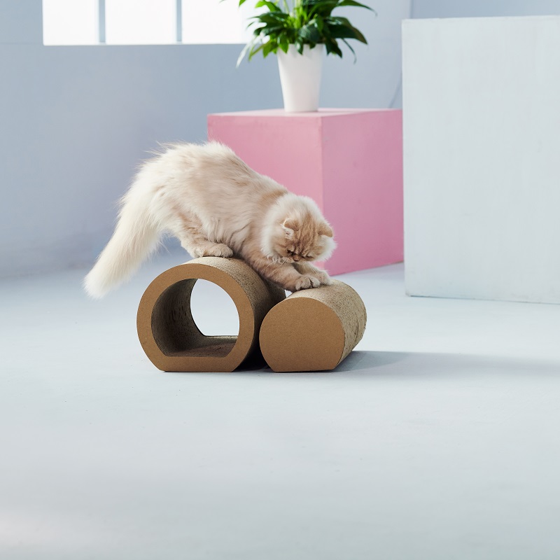 CAT SCRACKER 2