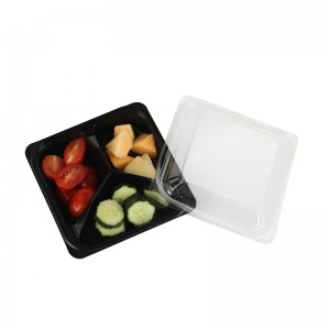 Lunchbox 520A3