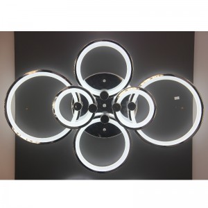 AC817 Ceiling Light