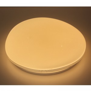 CX208 Ceiling Light