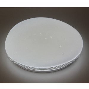 CX208 Ceiling Light