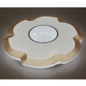 CX214 Ceiling Light