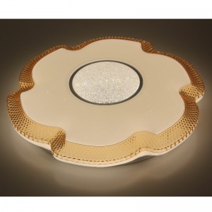 CX214 Ceiling Light