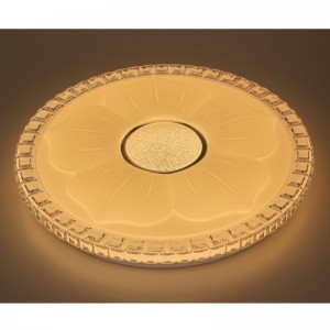 CX220 Ceiling Light
