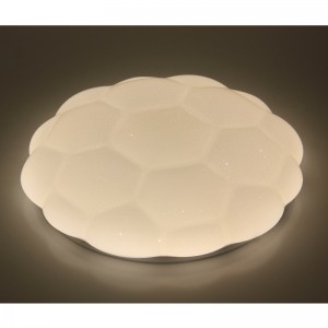 CX222 Ceiling Light
