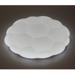 CX222 Ceiling Light