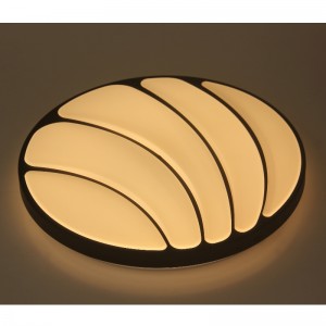 CX225 Ceiling Light