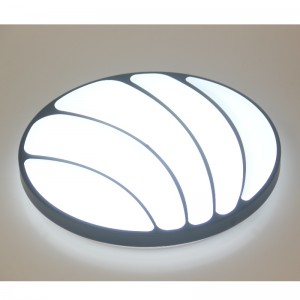 CX225 Ceiling Light